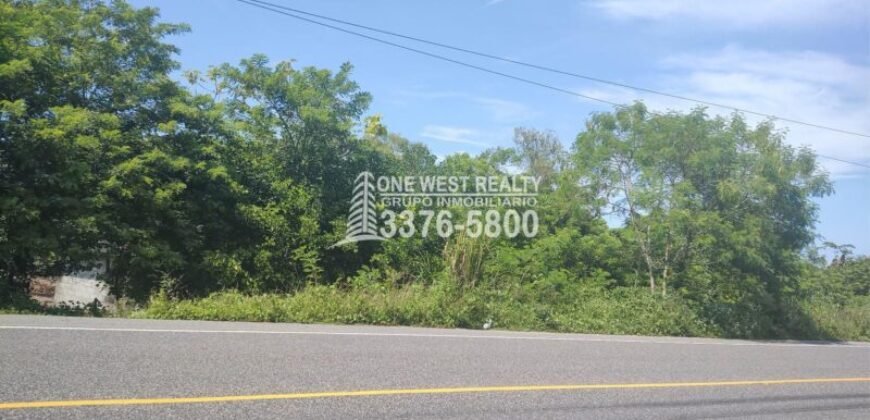Terreno de venta en Omoa Cortes con naciente de agua y cabañas