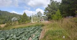 Terreno en venta a orilla de carretera en La Esperanza Intibuca Honduras