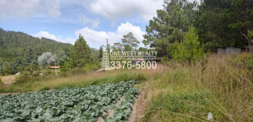 Terreno en venta a orilla de carretera en La Esperanza Intibuca Honduras