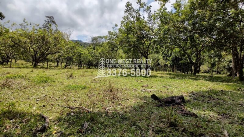 Terreno de venta en Omoa Cortes con naciente de agua y cabañas