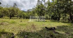 Terreno de venta en Omoa Cortes con naciente de agua y cabañas Terreno de venta en Omoa Cortes con naciente de agua y cabañas