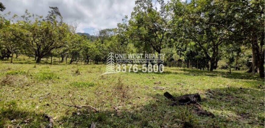 Terreno de venta en Omoa Cortes con naciente de agua y cabañas