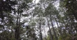 Terreno en venta a orilla de carretera en La Esperanza Intibuca Honduras