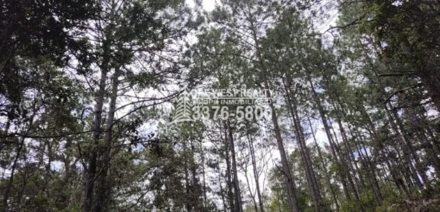 Terreno en venta a orilla de carretera en La Esperanza Intibuca Honduras