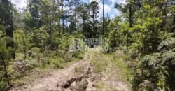 Terreno en venta a orilla de carretera en La Esperanza Intibuca Honduras