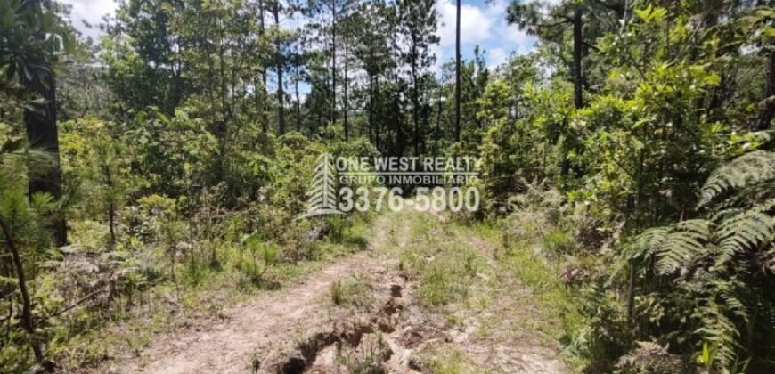 Terreno en venta a orilla de carretera en La Esperanza Intibuca Honduras