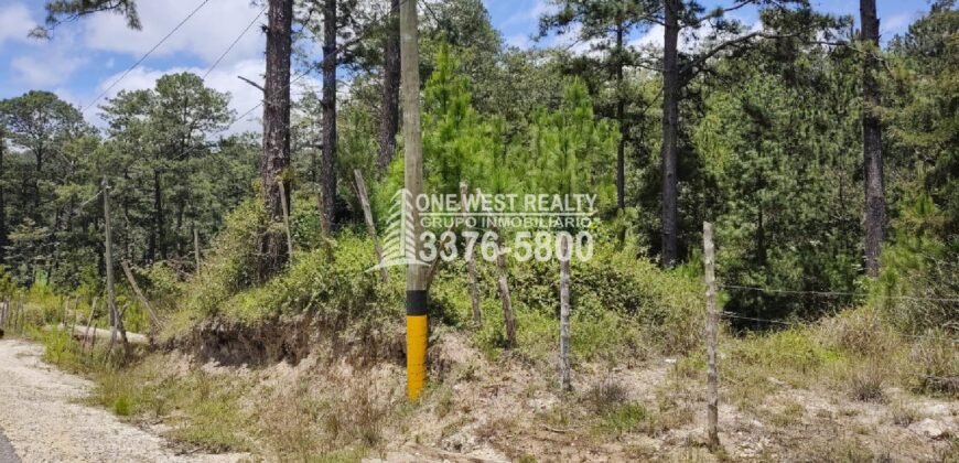 Terreno en venta a orilla de carretera en La Esperanza Intibuca Honduras