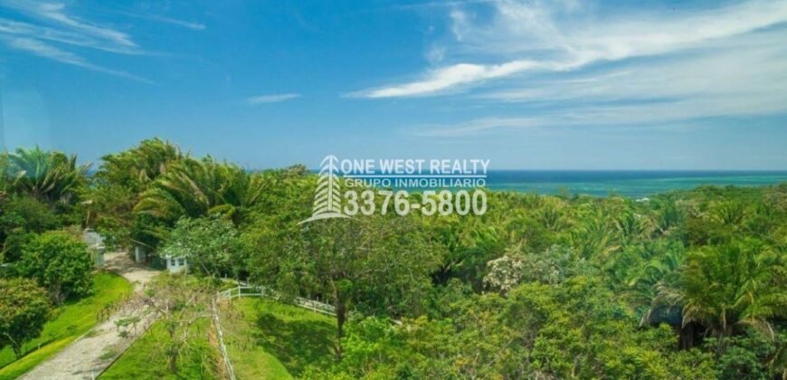 Palmetto Bay, House For Sales Roatan, Honduras