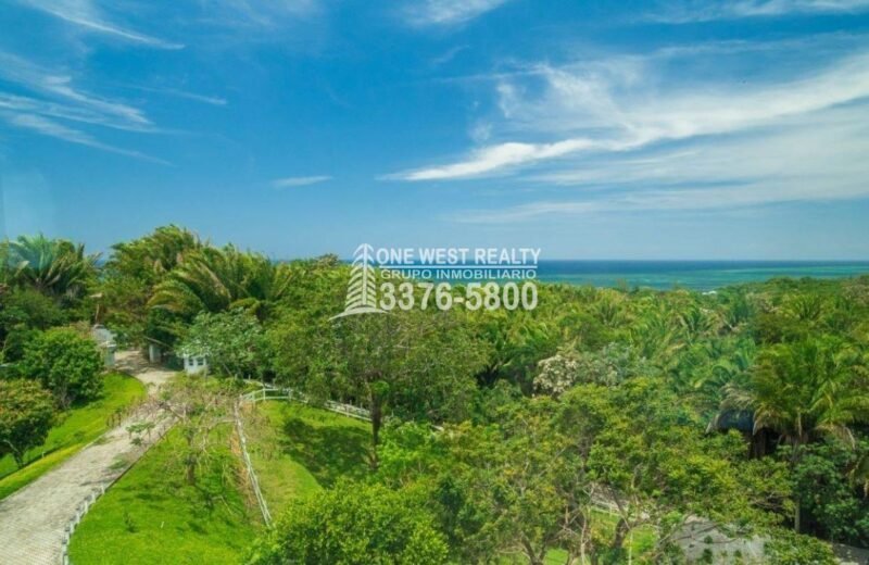 Palmetto Bay, House For Sales Roatan, Honduras