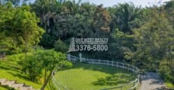 Palmetto Bay, House For Sales Roatan, Honduras