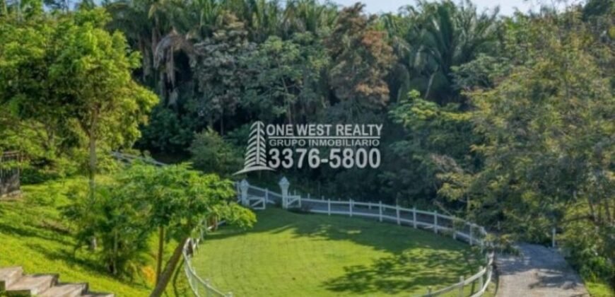 Palmetto Bay, House For Sales Roatan, Honduras