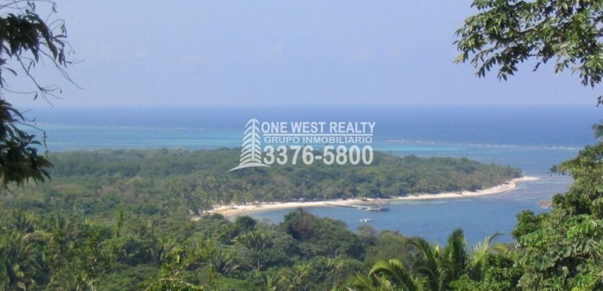 Palmetto Bay Roatan Land for Sale LOT 1 of 27 ACRES 0.82 Acres