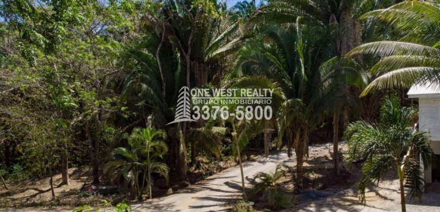 Palmetto Bay Roatan Land for Sale LOT 1 of 27 ACRES 0.82 Acres