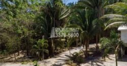 Palmetto Bay Roatan Land for Sale LOT 1 of 27 ACRES 0.82 Acres