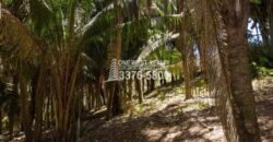 Palmetto Bay Roatan Land for Sale LOT 1 of 27 ACRES 0.82 Acres