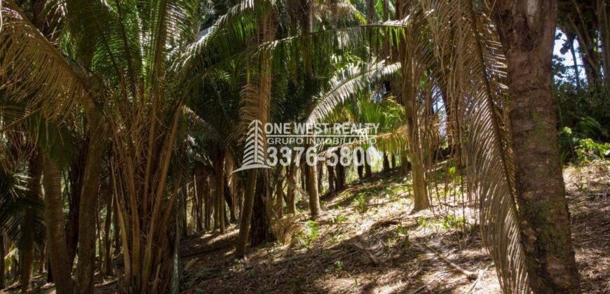 Palmetto Bay Roatan Land for Sale LOT 1 of 27 ACRES 0.82 Acres