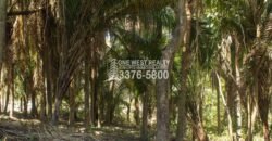 Palmetto Bay Roatan Land for Sale LOT 1 of 27 ACRES 0.82 Acres