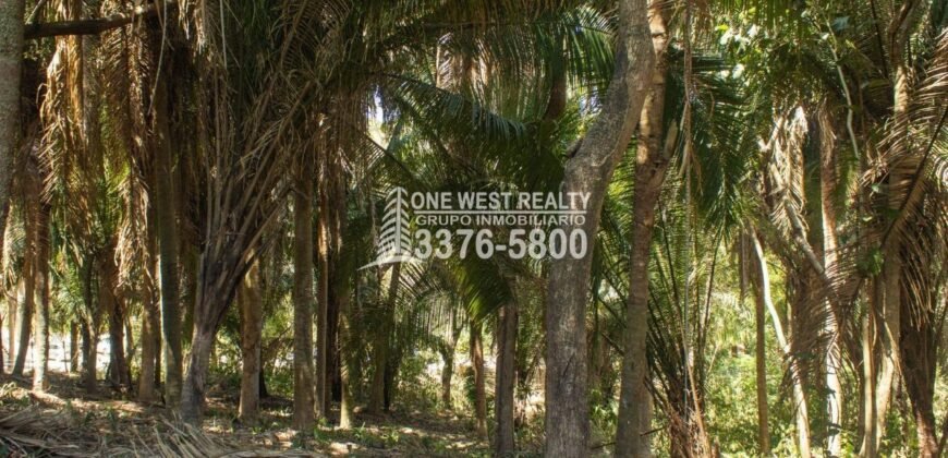 Palmetto Bay Roatan Land for Sale LOT 1 of 27 ACRES 0.82 Acres