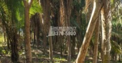 Palmetto Bay Roatan Land for Sale LOT 1 of 27 ACRES 0.82 Acres