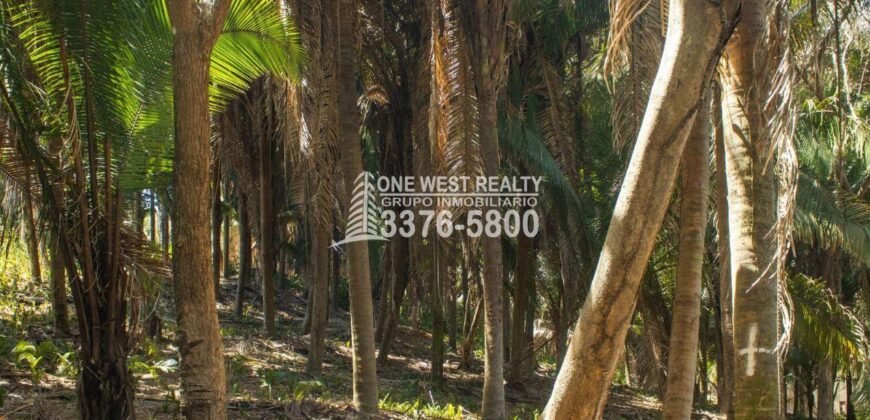 Palmetto Bay Roatan Land for Sale LOT 1 of 27 ACRES 0.82 Acres