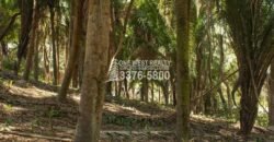 Palmetto Bay Roatan Land for Sale LOT 1 of 27 ACRES 0.82 Acres