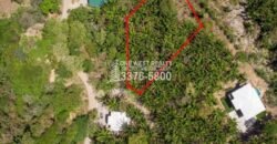 Palmetto Bay Roatan Land for Sale LOT 1 of 27 ACRES 0.82 Acres