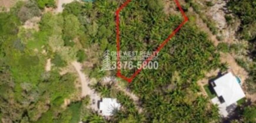 Palmetto Bay Roatan Land for Sale LOT 1 of 27 ACRES 0.82 Acres