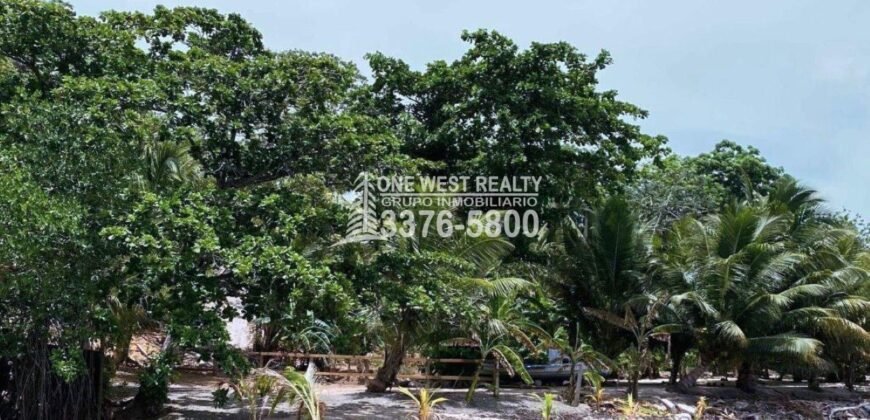 Politilly Bight Main Road, For Sales Roatán
