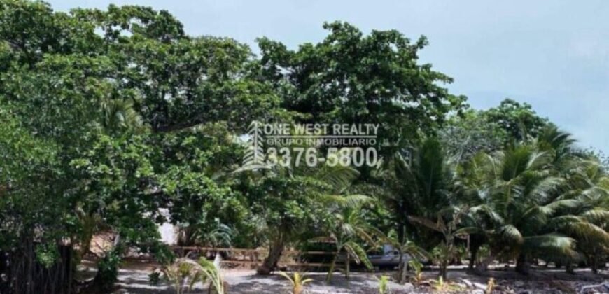 Politilly Bight Main Road, For Sales Roatán