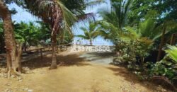 Politilly Bight Main Road, For Sales Roatán