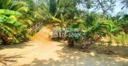 Politilly Bight Main Road, For Sales Roatán