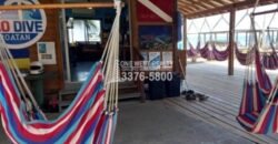 Boutique Dive Shop, Roatán in For Sales