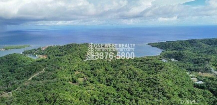Development,Roatan Honduras, Land For Sales 17.15 ACRES
