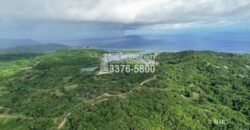 Development,Roatan Honduras, Land For Sales 17.15 ACRES
