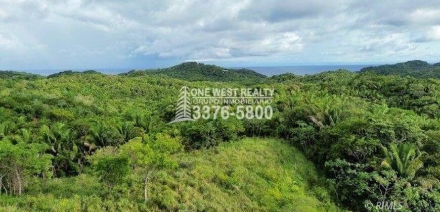 Development,Roatan Honduras, Land For Sales 17.15 ACRES