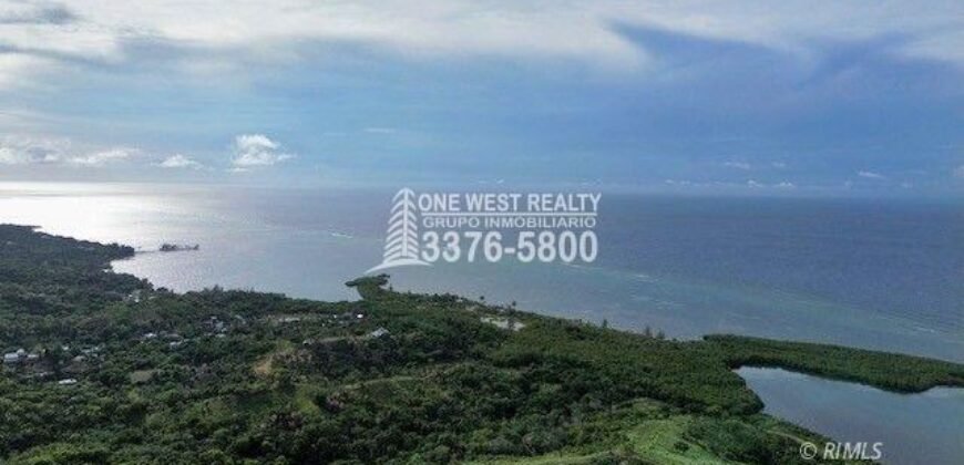 Development,Roatan Honduras, Land For Sales 17.15 ACRES