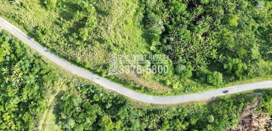 Development,Roatan Honduras, Land For Sales 17.15 ACRES