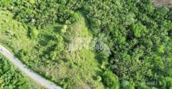 Development,Roatan Honduras, Land For Sales 17.15 ACRES