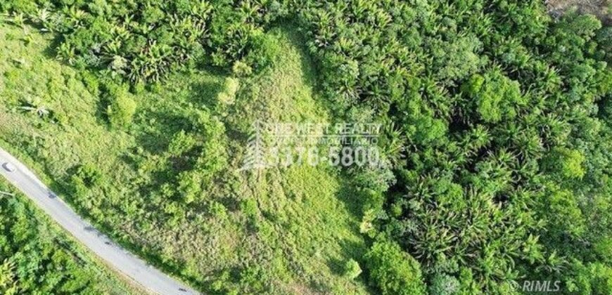 Development,Roatan Honduras, Land For Sales 17.15 ACRES