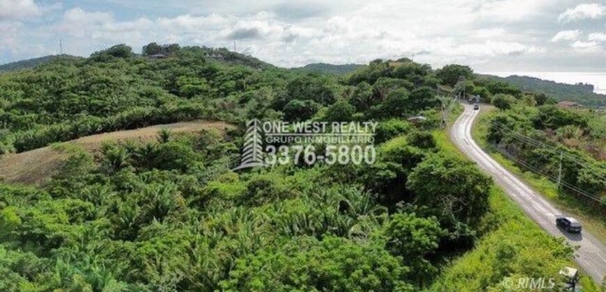 Development,Roatan Honduras, Land For Sales 17.15 ACRES