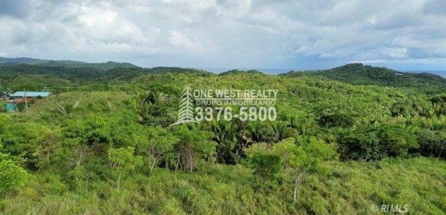 Development,Roatan Honduras, Land For Sales 17.15 ACRES