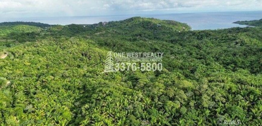 Development,Roatan Honduras, Land For Sales 17.15 ACRES