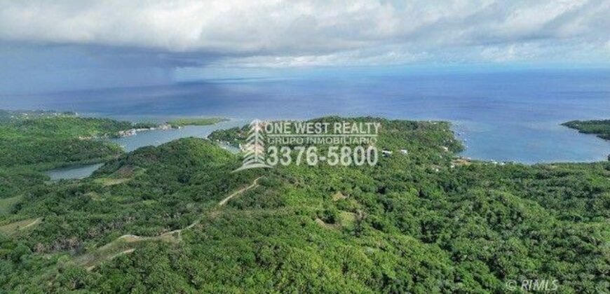 Development,Roatan Honduras, Land For Sales 17.15 ACRES