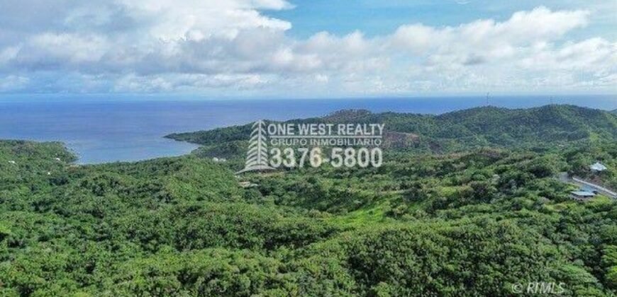 Development,Roatan Honduras, Land For Sales 17.15 ACRES