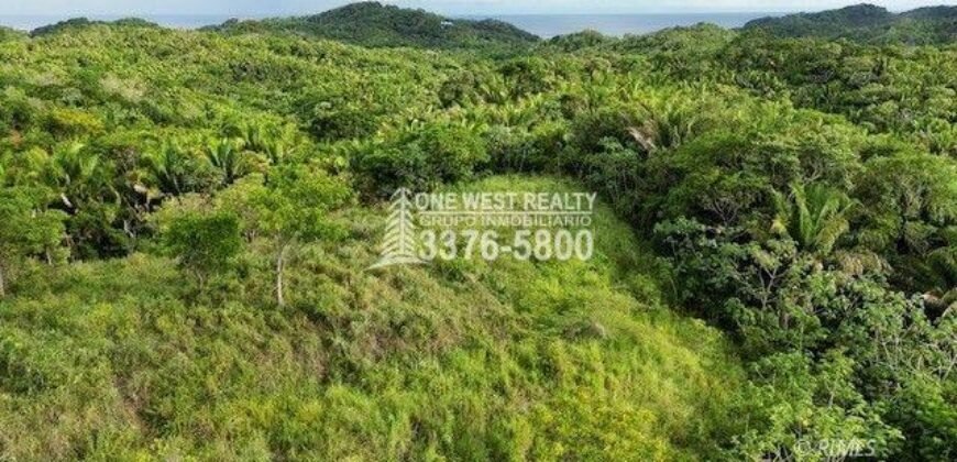Development,Roatan Honduras, Land For Sales 17.15 ACRES