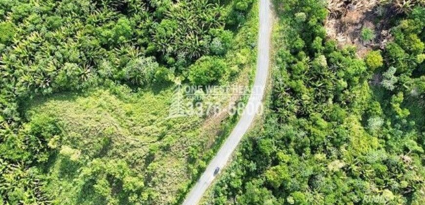 Development,Roatan Honduras, Land For Sales 17.15 ACRES