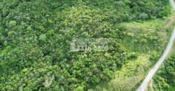 Development,Roatan Honduras, Land For Sales 17.15 ACRES