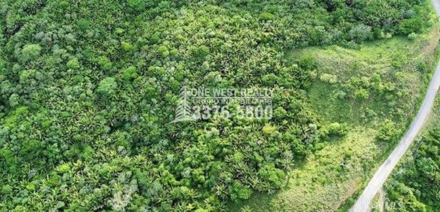 Development,Roatan Honduras, Land For Sales 17.15 ACRES