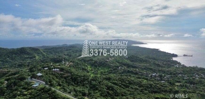 Development,Roatan Honduras, Land For Sales 17.15 ACRES
