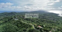 Development,Roatan Honduras, Land For Sales 17.15 ACRES